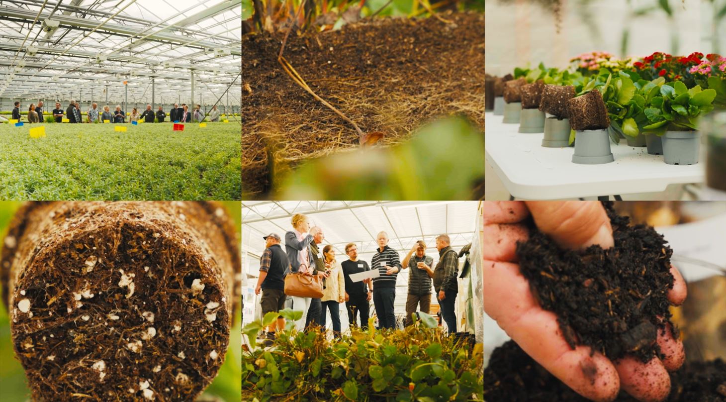 Billeder fra det tidligere arbejde i BioSubstrate 2.0